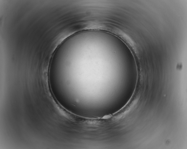 X0000103161041200808221349
