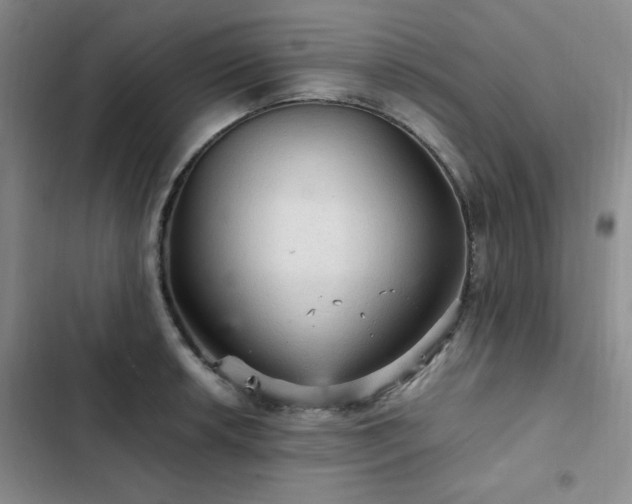 X0000103161042200808221349