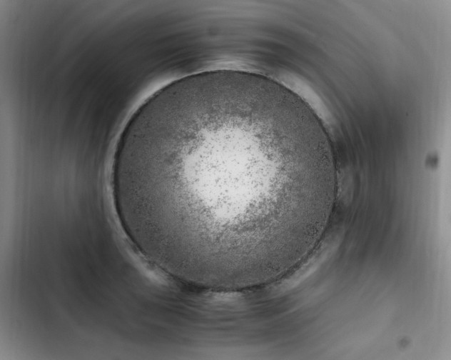 X0000103161043200808221349