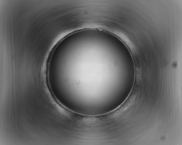 X0000103161046200808221349