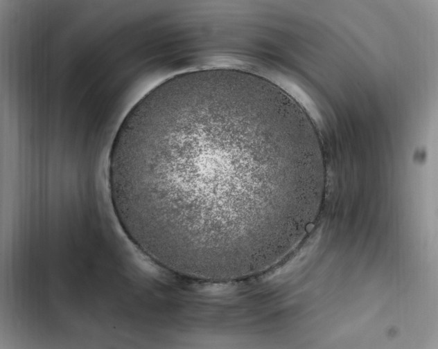 X0000103161047200808221349