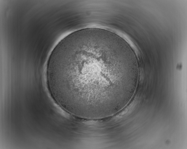 X0000103161048200808221349