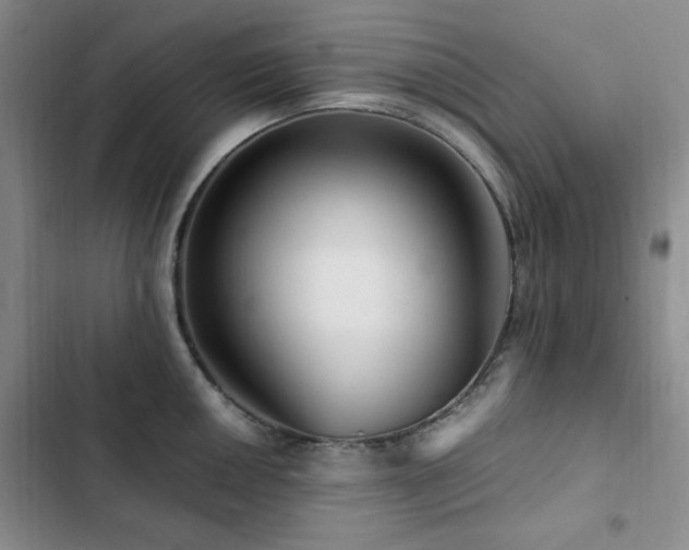 X0000103161050200808221349