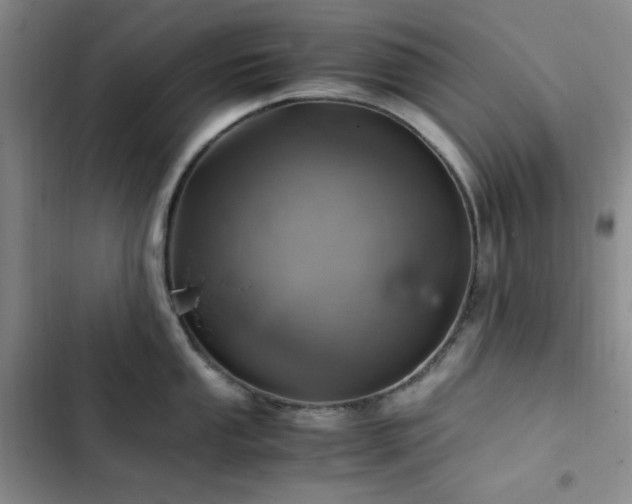 X0000103161053200808221350
