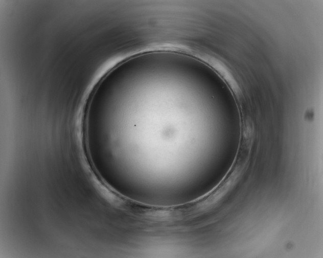 X0000103161054200808221350