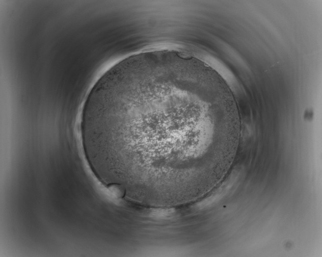 X0000103161055200808221350