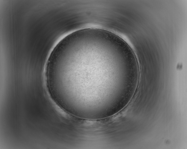 X0000103161056200808221350