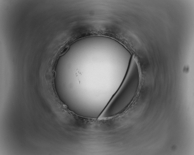 X0000103161057200808221349