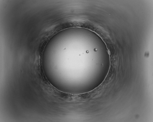 X0000103161061200808221349