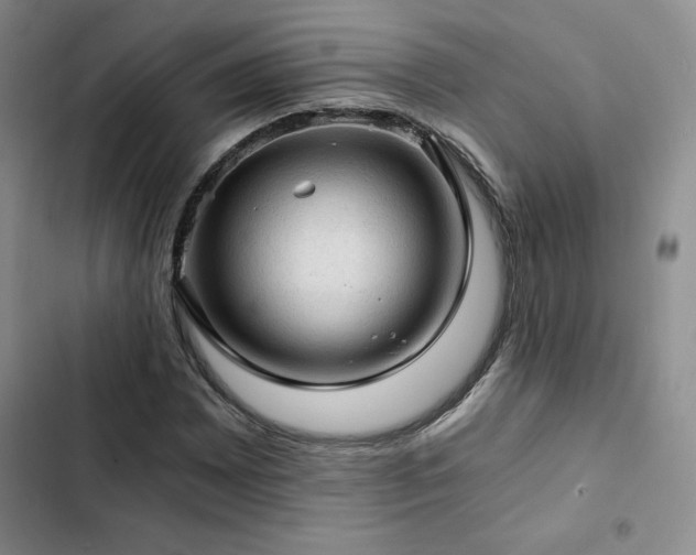 X0000103161065200808221349