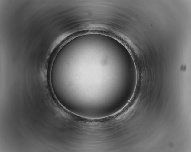 X0000103161066200808221349