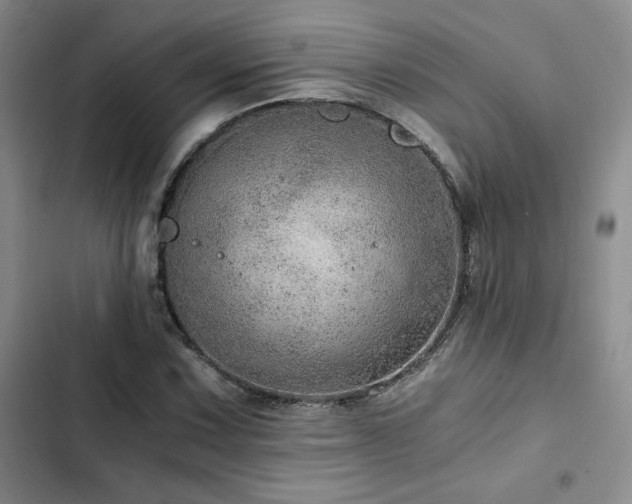X0000103161067200808221349