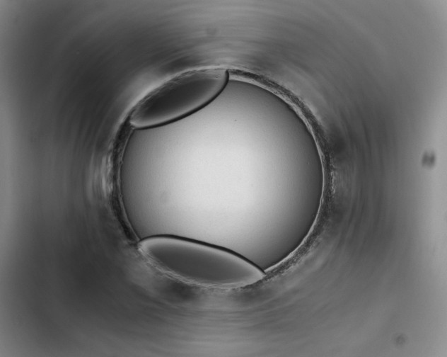 X0000103161069200808221349