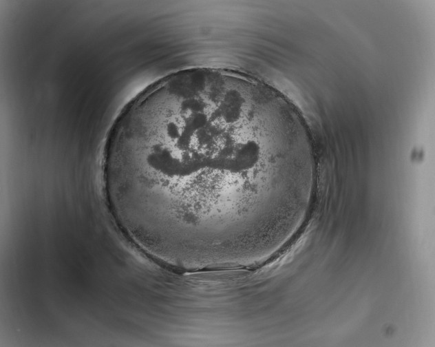 X0000103161071200808221349