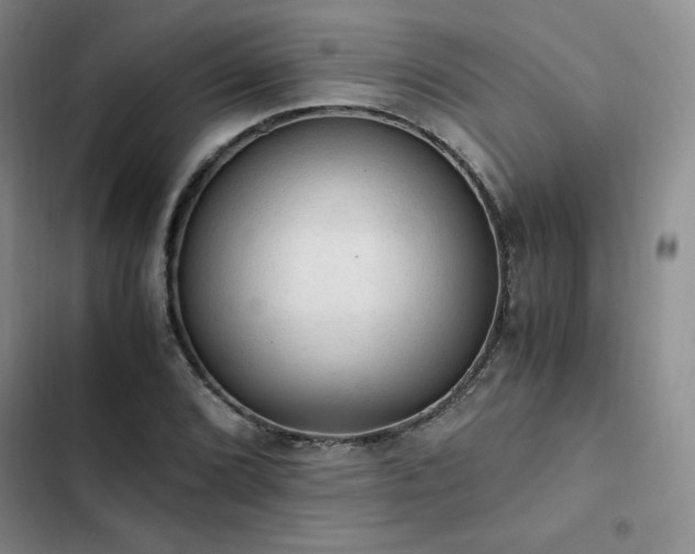 X0000103161072200808221349
