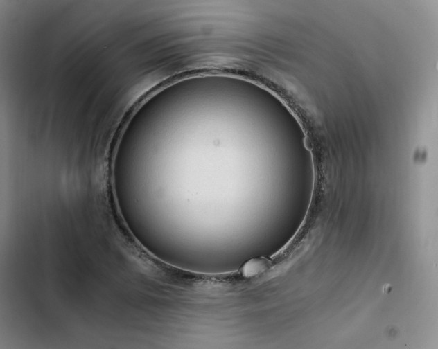 X0000103161073200808221349
