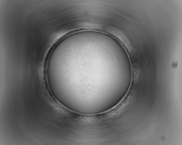 X0000103161074200808221348
