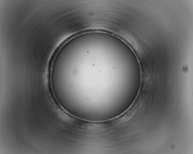 X0000103161076200808221348