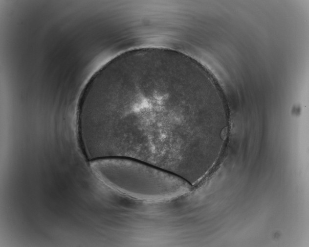 X0000103161077200808221348