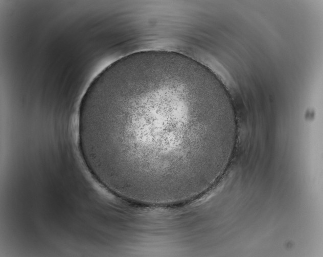 X0000103161079200808221348