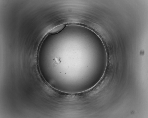 X0000103161081200808221348