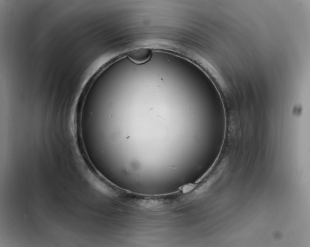 X0000103161082200808221348