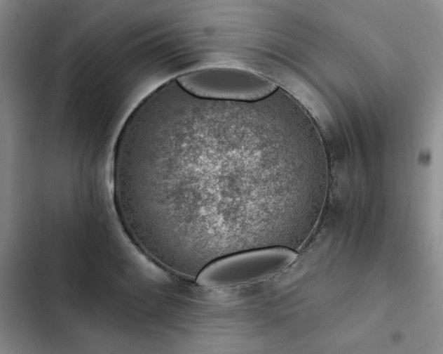 X0000103161084200808221348