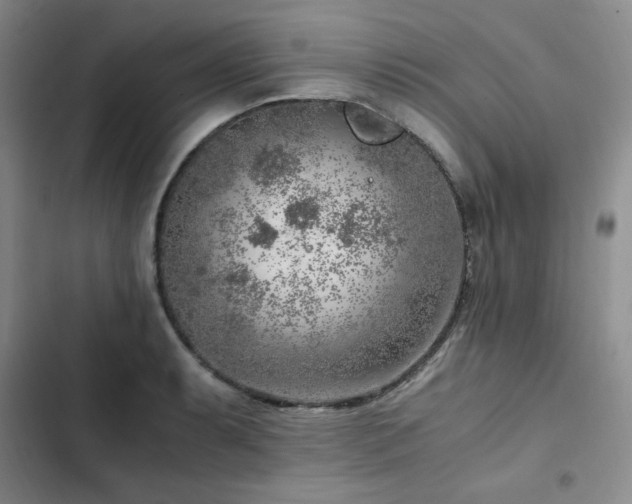 X0000103161087200808221348
