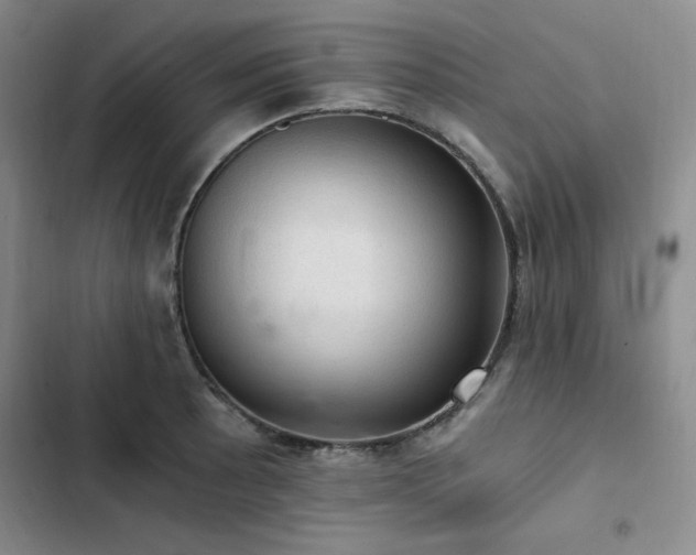 X0000103161089200808221348