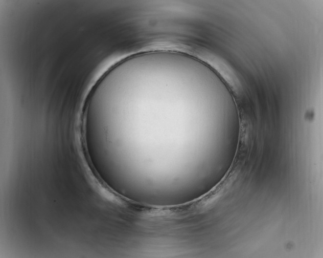 X0000103161094200808221348