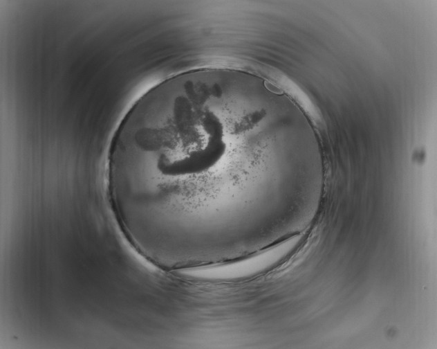 X0000103161095200808221348