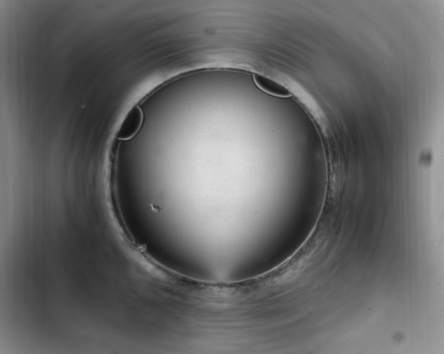 X0000103161096200808221348
