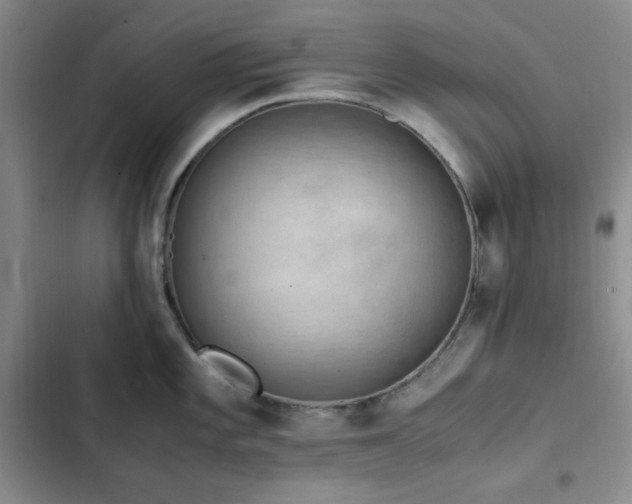 X0000103161101200808221348
