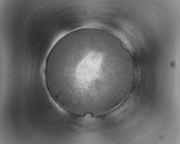 X0000103161103200808221348