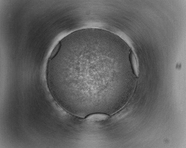 X0000103161104200808221348