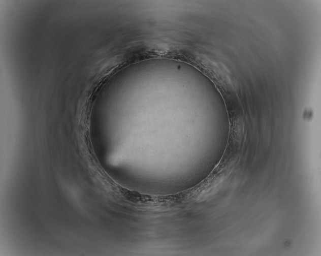 X0000103161105200808221347