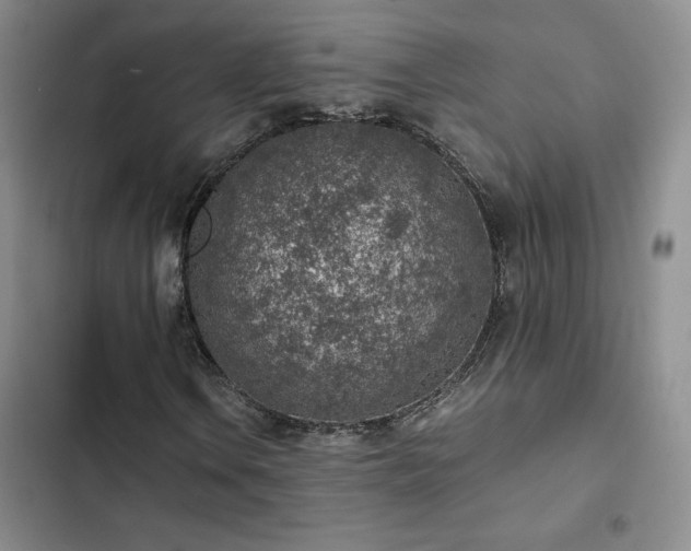 X0000103161106200808221347