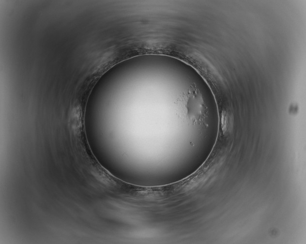 X0000103161107200808221347