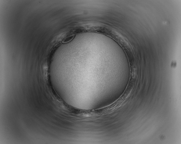 X0000103161108200808221347