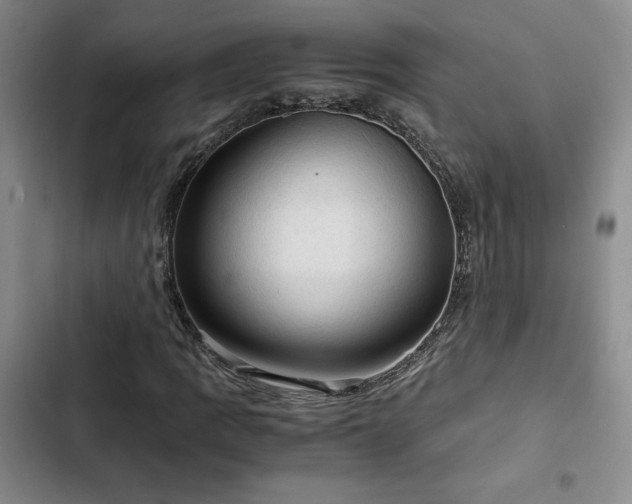 X0000103161109200808221347