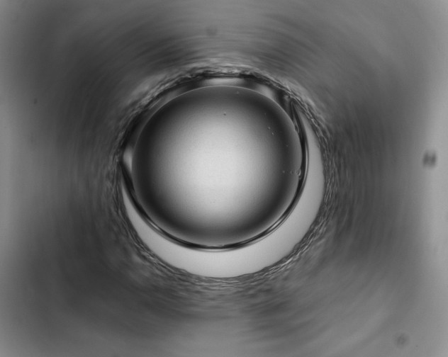 X0000103161110200808221347