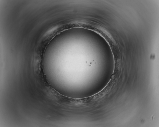 X0000103161111200808221347