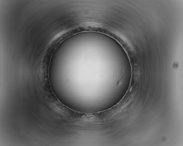 X0000103161112200808221347
