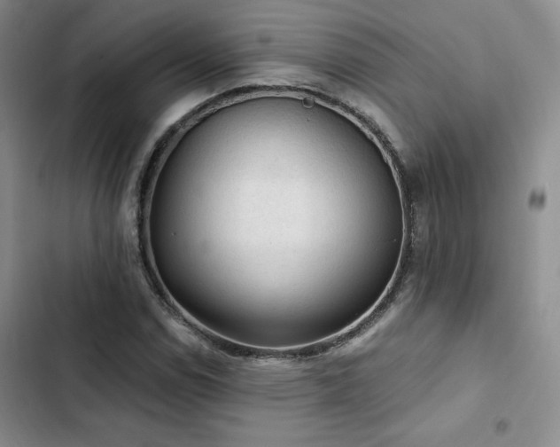 X0000103161114200808221347