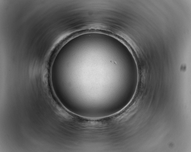 X0000103161115200808221348