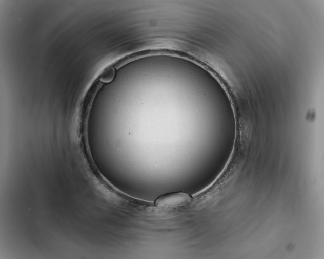 X0000103161116200808221348