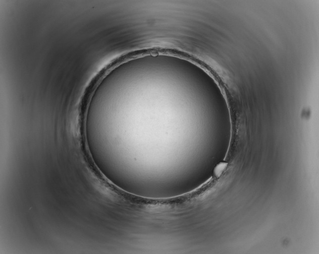 X0000103161118200808221348