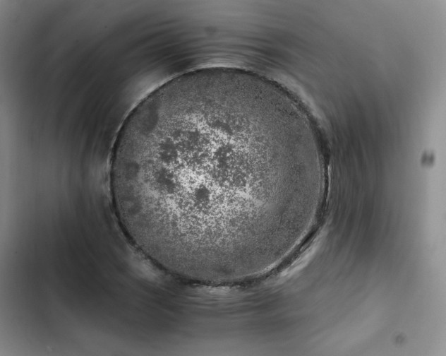 X0000103161121200808221348