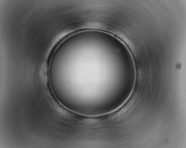 X0000103161123200808221348