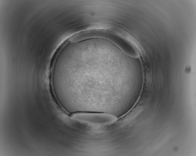 X0000103161124200808221348
